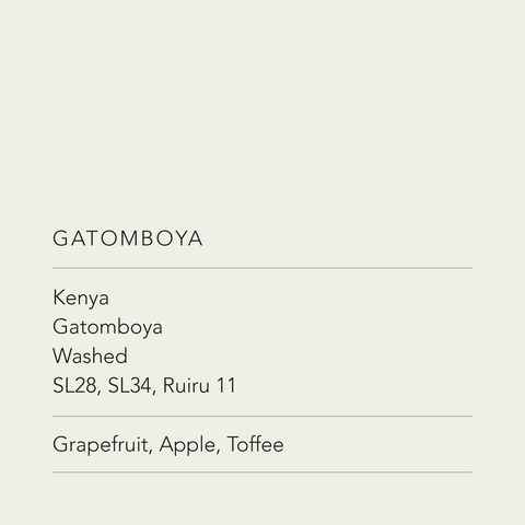 Gatomboya