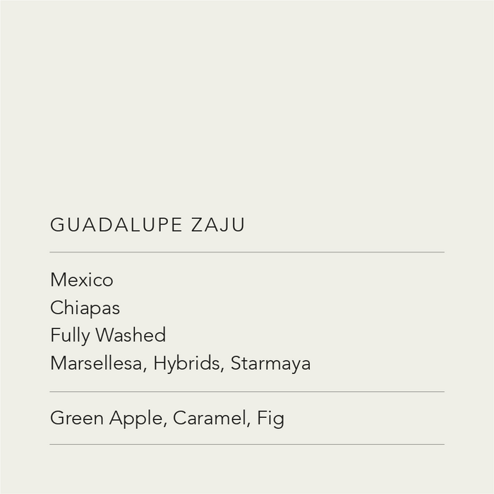 Guadalupe Zaju