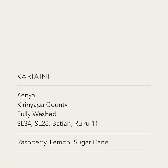 Kariaini